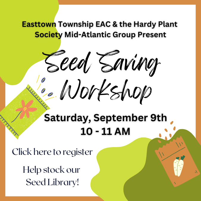 Seed Saving Workshop