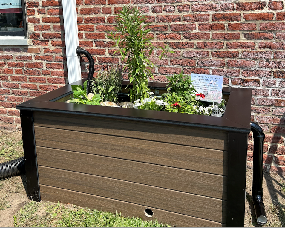 Handels Planter Cropped