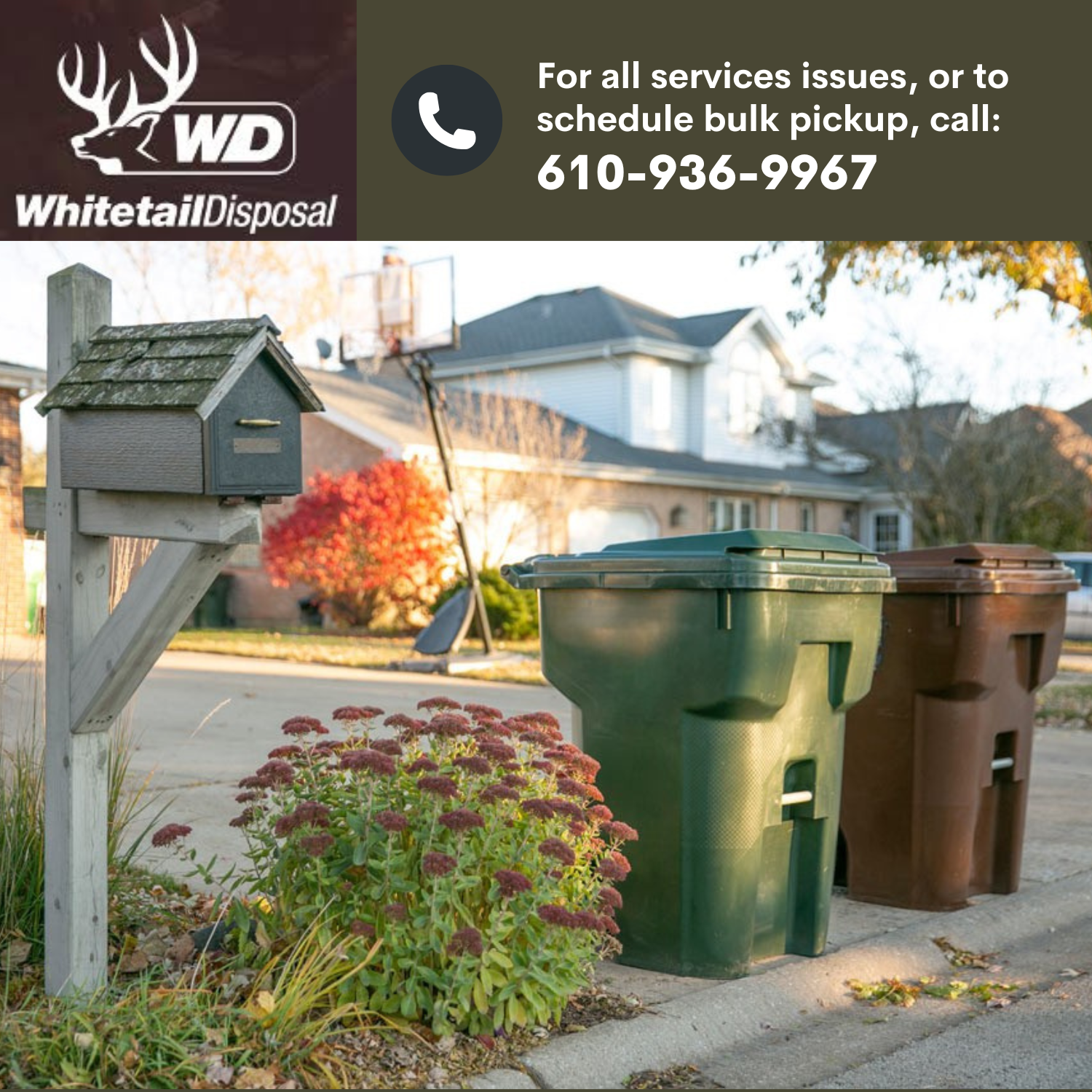 Final Whitetail Transition Square