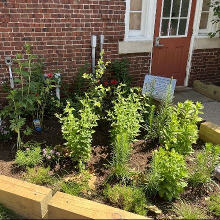 UMLY rain garden 2025 